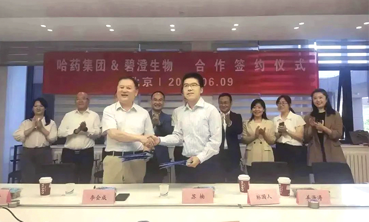 哈药携手清华大学，强强联合共创胶原蛋白行业未来